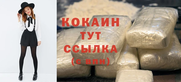 молекула духа Верхний Тагил
