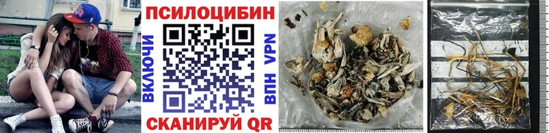 Галлюциногенные грибы мухоморы Гдов