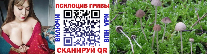 Галлюциногенные грибы мухоморы  площадка официальный сайт  Гдов 